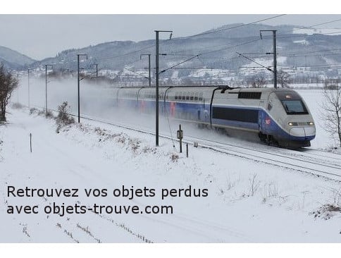 affaires perdues idtgv